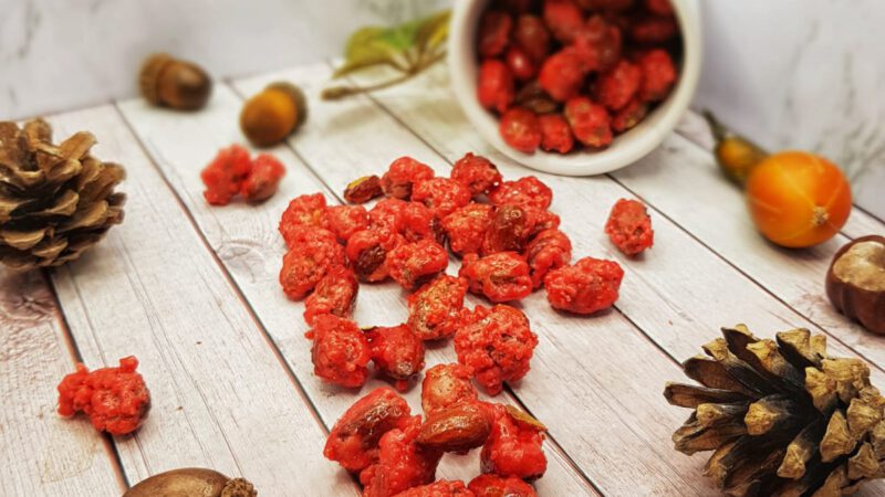 Lyoner Pralinen (pinke gebrannte Mandeln)