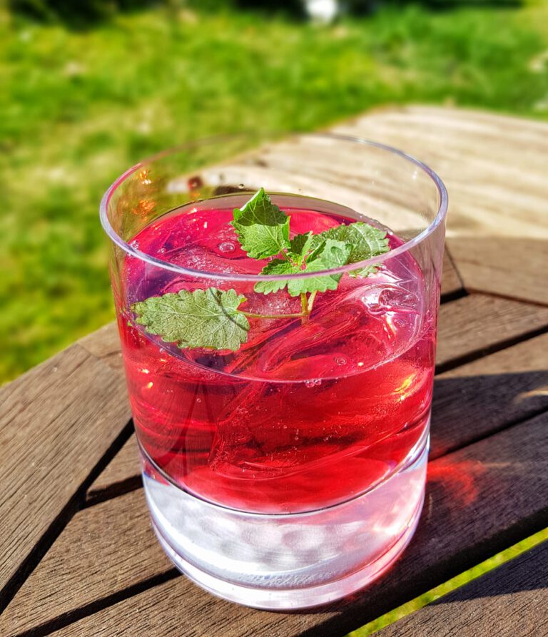 Cranberry Gin and Tonic
