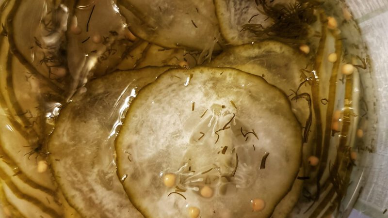 Eingelegte Gurkenscheiben